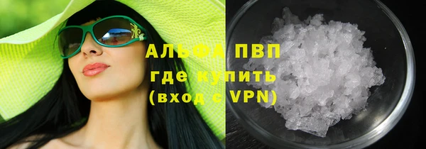 spice Новодвинск