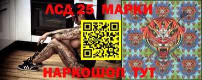 сатива Гатчина