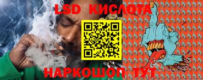 сатива Гатчина