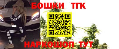 сатива Гатчина