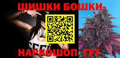 сатива Гатчина