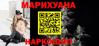 сатива Гатчина