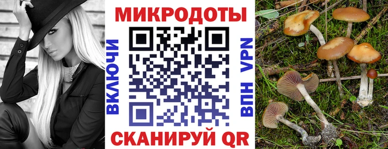 цены наркотик  Ейск  ОМГ ОМГ ссылка  Галлюциногенные грибы Psilocybe 