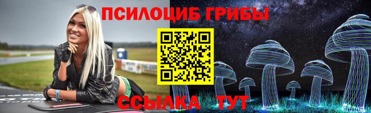 цены наркотик  Ейск  Псилоцибиновые грибы GOLDEN TEACHER 