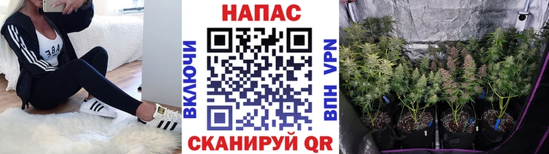 Канабис индика  дарк нет официальный сайт  Ейск  даркнет сайт 